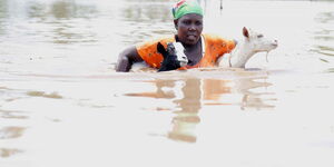 Woman attempts to cross through floods in Nyando while carrying her two goats on Wednesday, April 22, 2020.