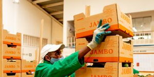 A Kakuzi packhouse worker preparing Hass Avocados for export.