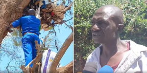 Moses Kimenju