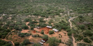 A section of Shakahola forest in Kenya