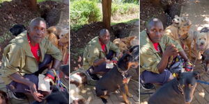 A collage of dog trainer William Kimani at work 