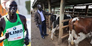 A collage of Felix Limo during a past race and him in his dairy farm