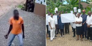 A goon armed with stone outside Pinewood Beach Resort (left) and hospitality workers staging protests over safety concerns.