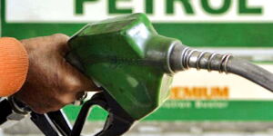  A person holding a fuel pump