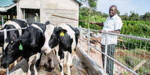 A photo of DP Rigathi Gachagua at his farm in Mathira, Nyeri County in June 2023