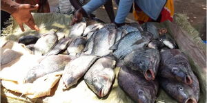 A photo of fish on display at a market