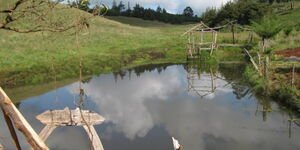 A section of the man made lake at Amazement Park in Eldoret 