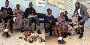 A grandmother from Homa Bay County offerring six chickens to clear fee arrears for two Adiedo Mixed Secondary School students.