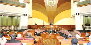 Afghani Parliament