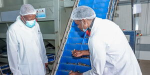 Agriculture Cabinet Secretary Mutahi Kagwe  inspecting cashew nut processing in Kilifi on Thursday, January 8, 2026.