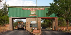 An undated photo of the Tsavo East National Park Entrance.