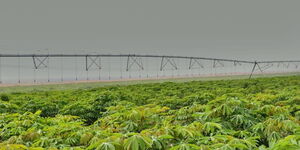 An undated photo of the Galana Kalalu irrigation project in the coastal region