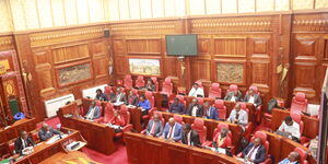 An aerial view of MPs during a Parliamentary committee on Energy on Tuesday July 18, 2023