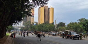 Animal sculptures from the Central park scattered in Nairobi CBD
