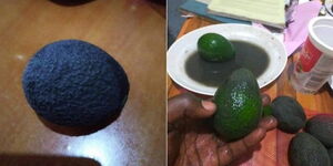 A collage of a painted avocado as seen on Friday, November 26, 2021