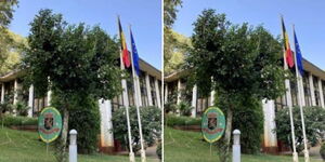 A collage image of the Belgian Embassy in Nairobi, Kenya