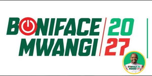Boniface Mwangi 2027