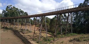 Gesare slipped and fell at a railway bridge in Michina area. 