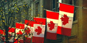 Canadian flags lined up on a building 