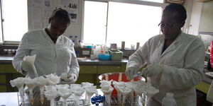 Medical scientists perform tests at a laboratory in Malindi in September 2021. 