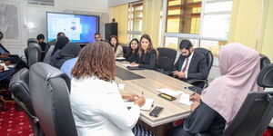 Council of Govenors officials, and stakeholders from the health sector in a meeting with a UAE Based company on May 23, 2024