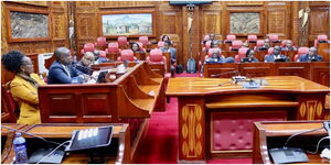 Budget and Appropriations Committee in session in the National Assembly.