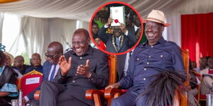 constitutional reforms