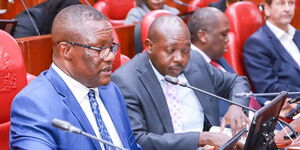 ICT Cabinet Secretary making a presentation during a session with Senate ICT Committee on December 1, 2023