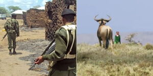 A collage image of Police Officers on patrol (left) and a student walking to school past a wild animal (Right).