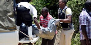 Police pick a dead body at a past crime scene.