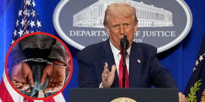 The United States President Donald Trump and an insert of a handcuffed person.