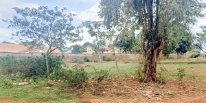 Kitale School land