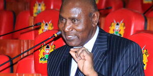 Former Auditor General Edward Ouko speaking before the National Assembly's Budget and Appropriations Committee on October 13, 2016. 