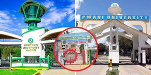 A photo collage of Egerton University, Njoro Campus gate (left), JKUAT gate (centre) and Pwani University entrance.
