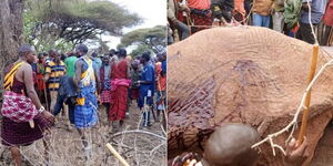 A photo collage of residents in Rombo village converging over a dead elephant.