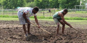 Erick Ateka and Moses Moturi work at the Covenant Church Farm ran by the Village Agricultural Cooperative on May 22, 2023.