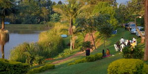 Evergreen garden