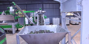 UK High Commissioner Jane Marriott during the launch of avocado industry in Kisii County on Tuesday April 18, 2023