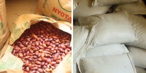 Fake seeds