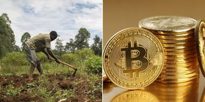 A photo collage of a farmer working on his farm in Kitale on August 3, 2022 (left) and bitcoins placed on top of a table (left).
