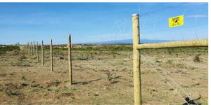 A photo of fenced land in Kenya