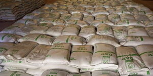Photo of subsidized DAP fertilizer at a Nairobi cereals store on March 9, 2023. 