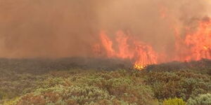 An aerial photo of the section of Abadares Forest affected by the fire oubreak. 
