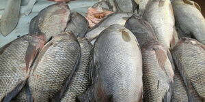 MoH has warned on fish hawked along Nairobi-Nakuru highway.