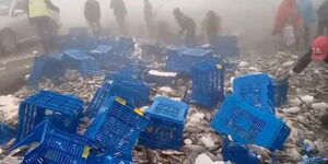 Tons of fish strewn after truck overturns along the Nairobi-Nakuru Highway on January 19, 2024