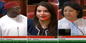 Foreign MPs