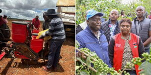 A photo collage of President William Ruto preparing his farm for planting season on April 9, 2023 (left) and Deputy President Rigathi Gachagua and his wife Dorcas Rigathi inspecting a coffee farm in Nyeri County on April 8, 2023.