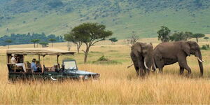 An image of tourists at Maasai Mara national reserve.