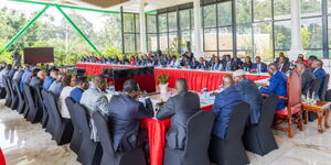 Council of Governors