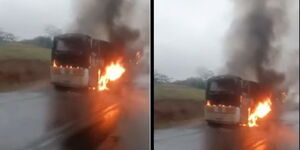 Guardian bus